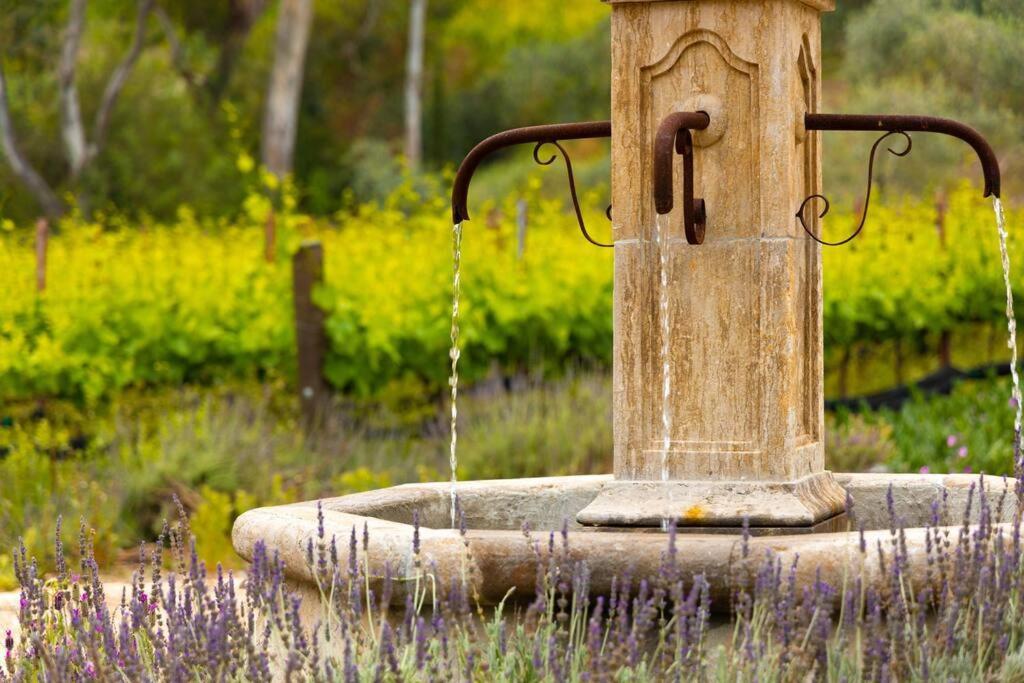 Peppertree Canyon: A Luxury Urban Winery Estate Villa แซนตาแอนา ภายนอก รูปภาพ